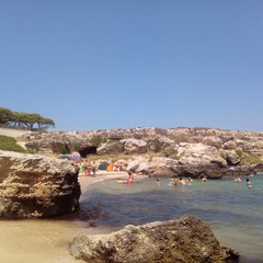 monopoli
