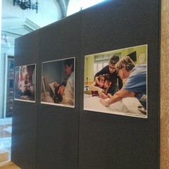 mostra malattie rare