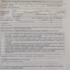 multa per le pelose