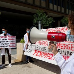protesta link medicina