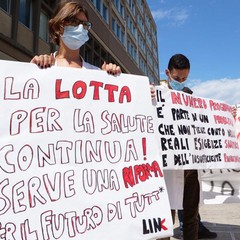 protesta link medicina