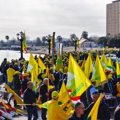 Piano Marshall per agricoltura Puglia La mobilitazione degli agricoltori Coldirettin a Bari