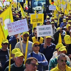 Piano Marshall per agricoltura Puglia La mobilitazione degli agricoltori Coldirettin a Bari