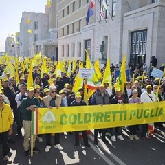 Piano Marshall per agricoltura Puglia La mobilitazione degli agricoltori Coldirettin a Bari