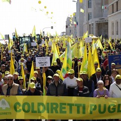 Piano Marshall per agricoltura Puglia La mobilitazione degli agricoltori Coldirettin a Bari