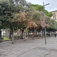 piazza Umberto Bari dimenticata