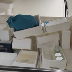 prodotti caseari sequestrati