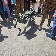164° anniversario costituzione Esercito Italiano