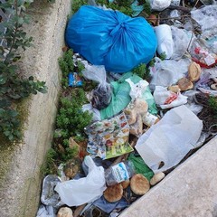 La via che porta dall'Interporto alla stazione Tesoro