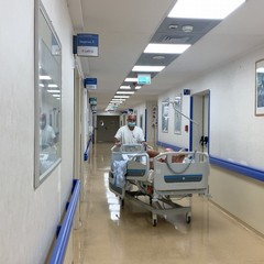 reparto di chirurgia vascolare