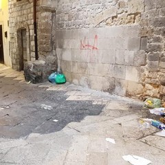 rifiuti in strada a barivecchia