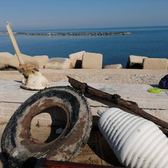 Retake, Greenpeace e Legambiente ripuliscono il lungomare di Bari