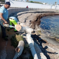 Rifiuti sulle spiagge