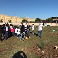 il bosco sociale al san paolo