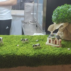 11^ anno del Villaggio del Gusto
