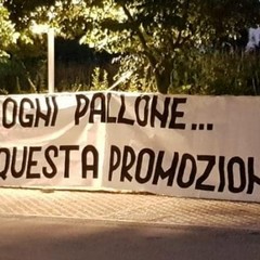 striscione bulldog reggio emilia