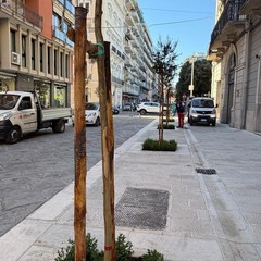 Via Agiro