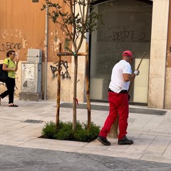 Via Agiro