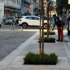 Via Agiro