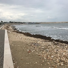 Il waterfront di San Girolamo