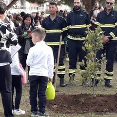 festa dell'albero