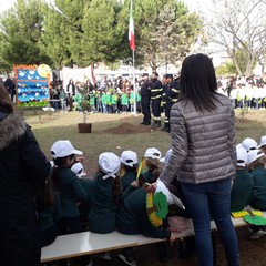 festa dell'albero