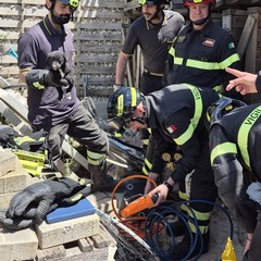 Uno dei tre cuccioli salvati a Sammichele