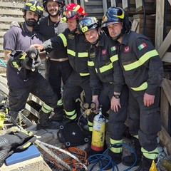 Uno dei tre cuccioli salvati a Sammichele