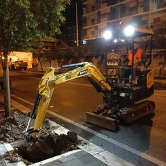 Piantumazione in Piazza Luigi di Savoia