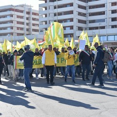 Protesta agricoltori con i trattori Coldiretti Puglia