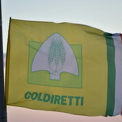 Protesta agricoltori con i trattori Coldiretti Puglia