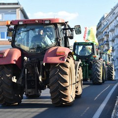 Protesta agricoltori con i trattori Coldiretti Puglia