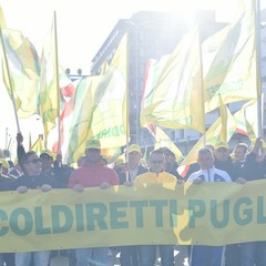 Protesta agricoltori con i trattori Coldiretti Puglia