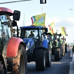Protesta agricoltori con i trattori Coldiretti Puglia