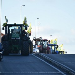 Protesta agricoltori con i trattori Coldiretti Puglia