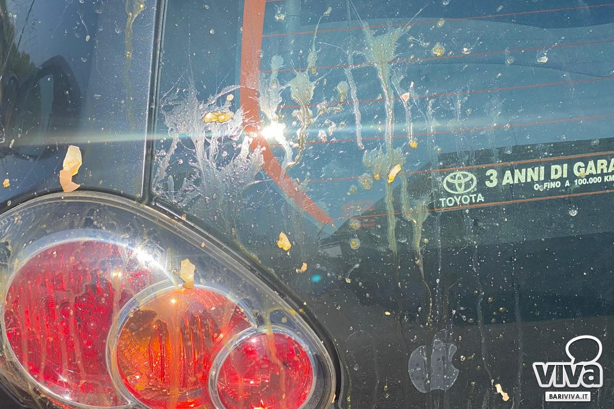 dettaglio due uova lanciate su auto