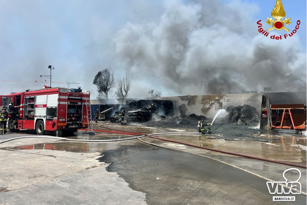Incendio Campo Rom