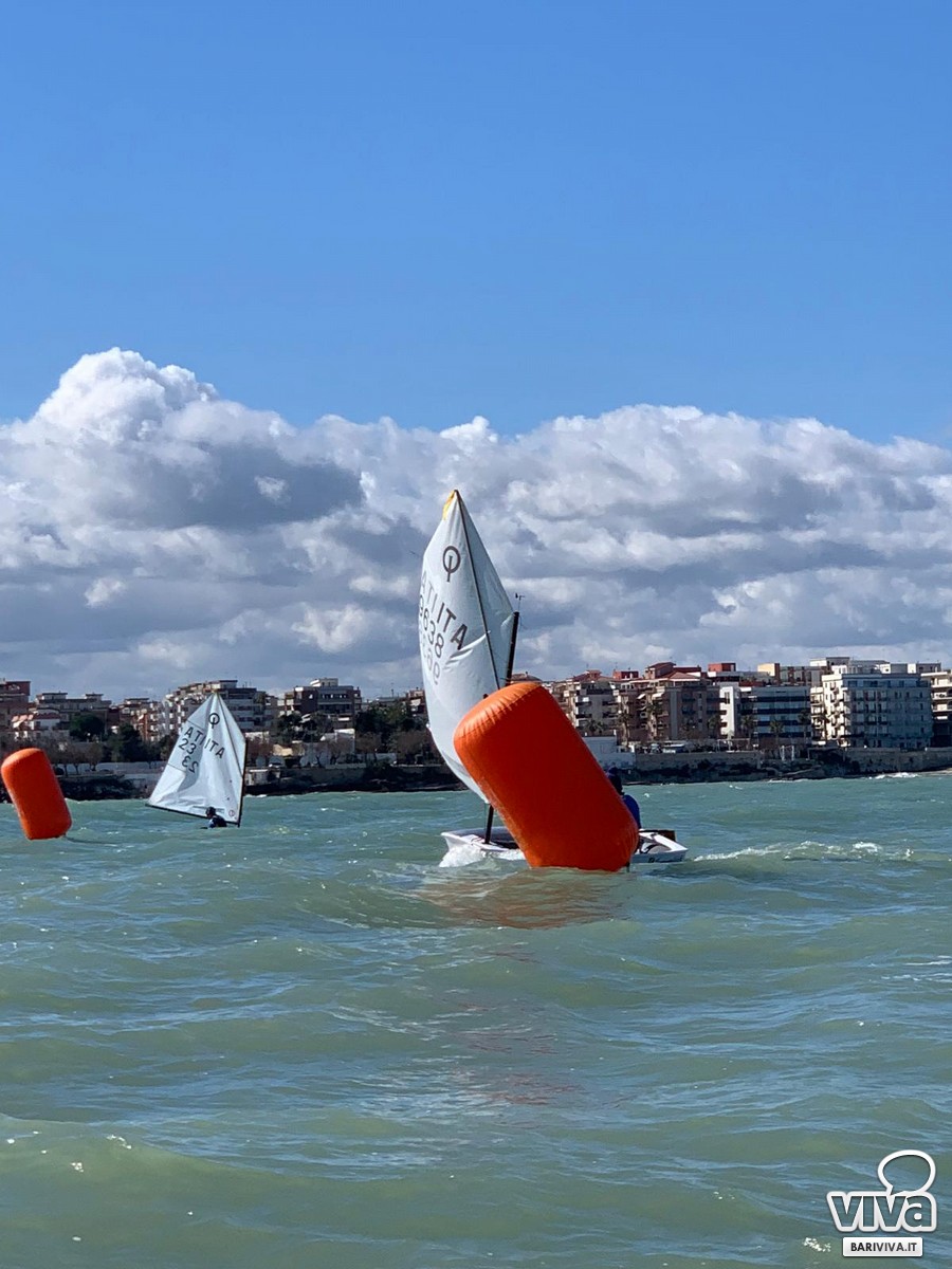 Optimist - Circolo della Vela