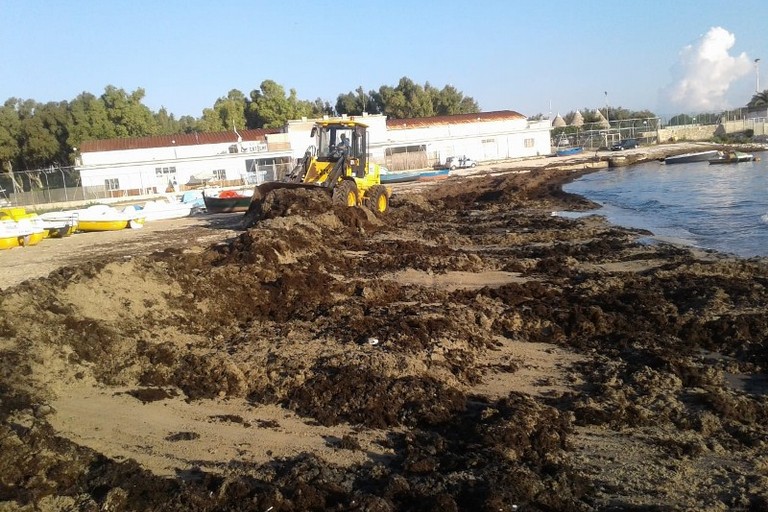 ripulita spiaggia di lama San Giorgio