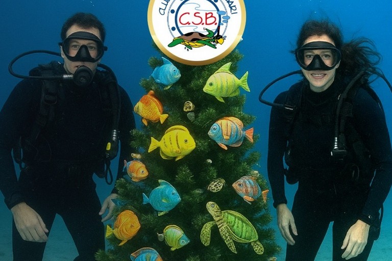Albero subacqueo Sommozzatori Bari