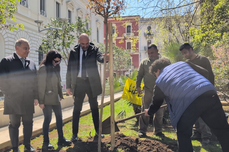 Piantumazione albero per vittime di mafia
