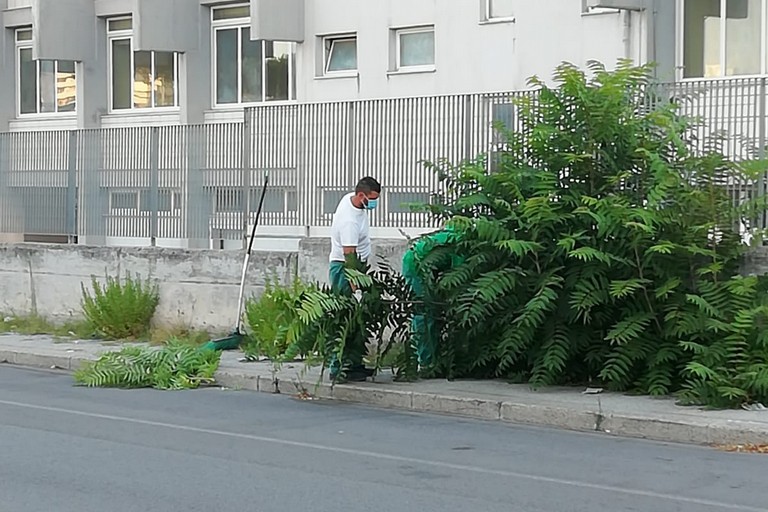 interventi di sfalcio erbe infestanti Amiu inizia dalle aree adiacenti alle scuole