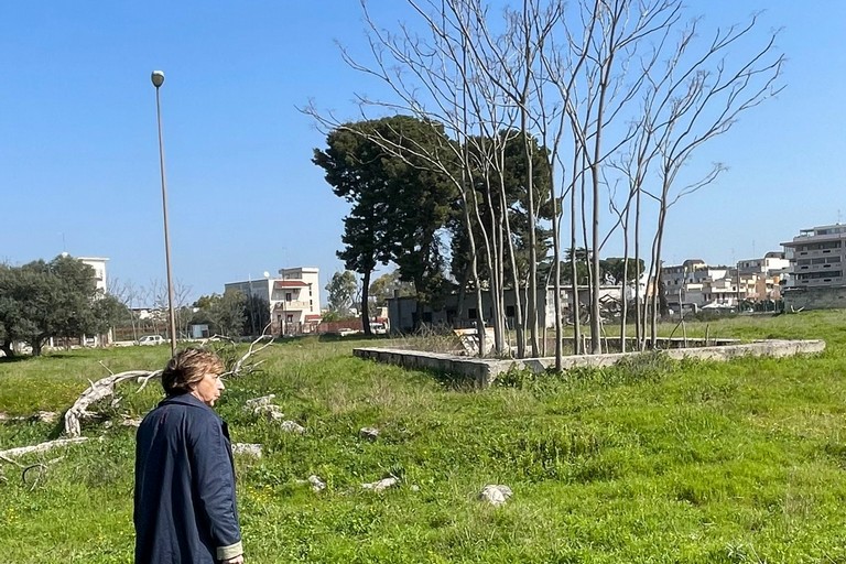 ex compendio Rai di Ceglie sopralluogo della vicesindaca dopo lavvio dellacquisizione larea diventer un grande parco urbano con il progetto Fiumi verdi foto