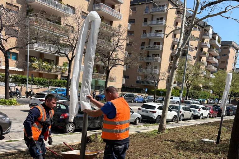 Illuminazione giardini di viale Kennedy
