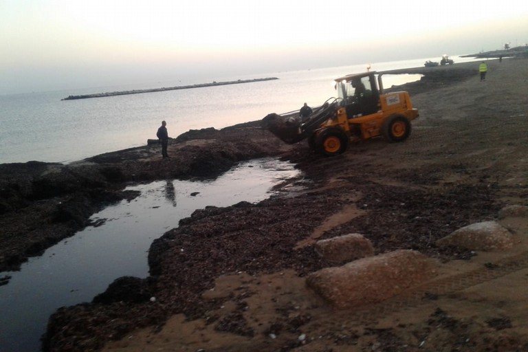 rimozione posidonia molo san nicola e pane e pomodoro