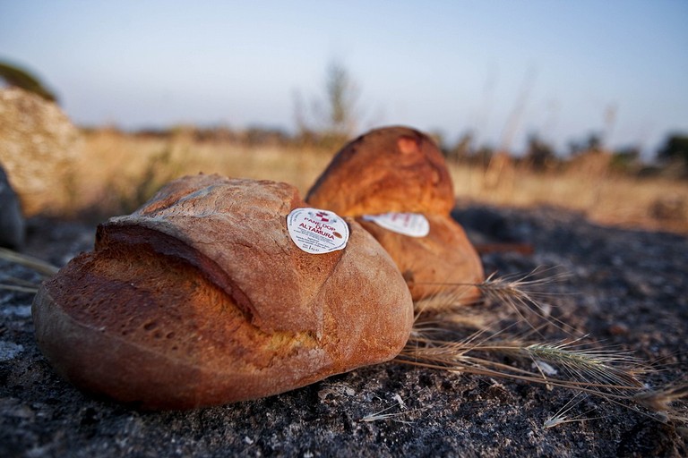 px Pane di altamura dop official