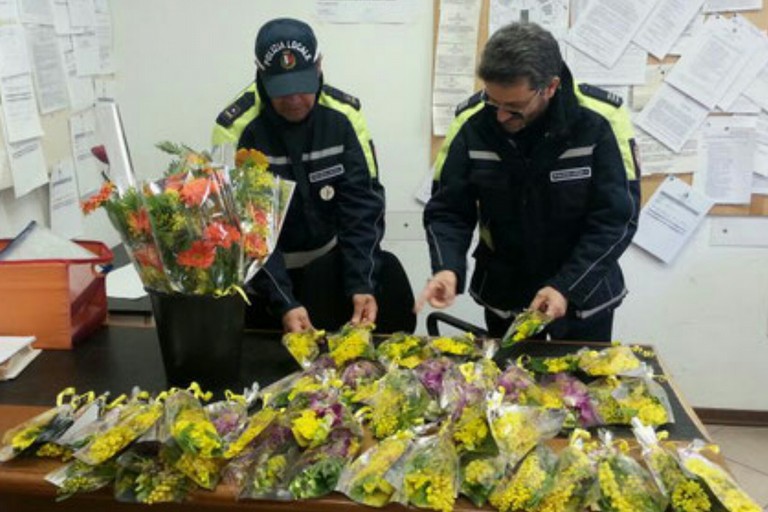 Sequestro mimose a Bari