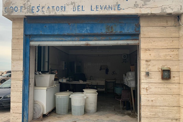 approvato ieri il progetto di candidatura per l accesso ai contributi per l acquisto e l installazione di strutture per la vendita di prodotti alimentari ittici sulle aree pubbliche