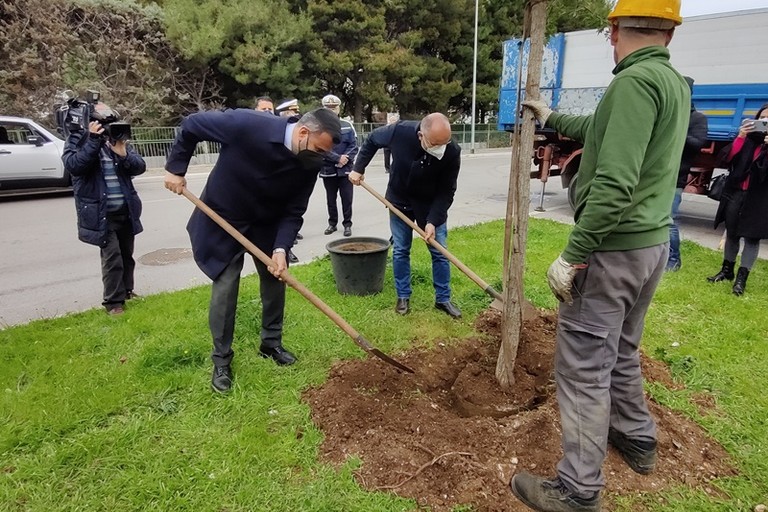 Giornata dedicata alla memoria delle vittime del covid oggi la piantumazione del primo albero del bosco urbano intitolato alle vittime baresi