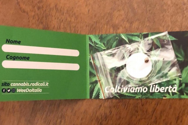 l'iniziativa sulla legalizzazione della cannabis